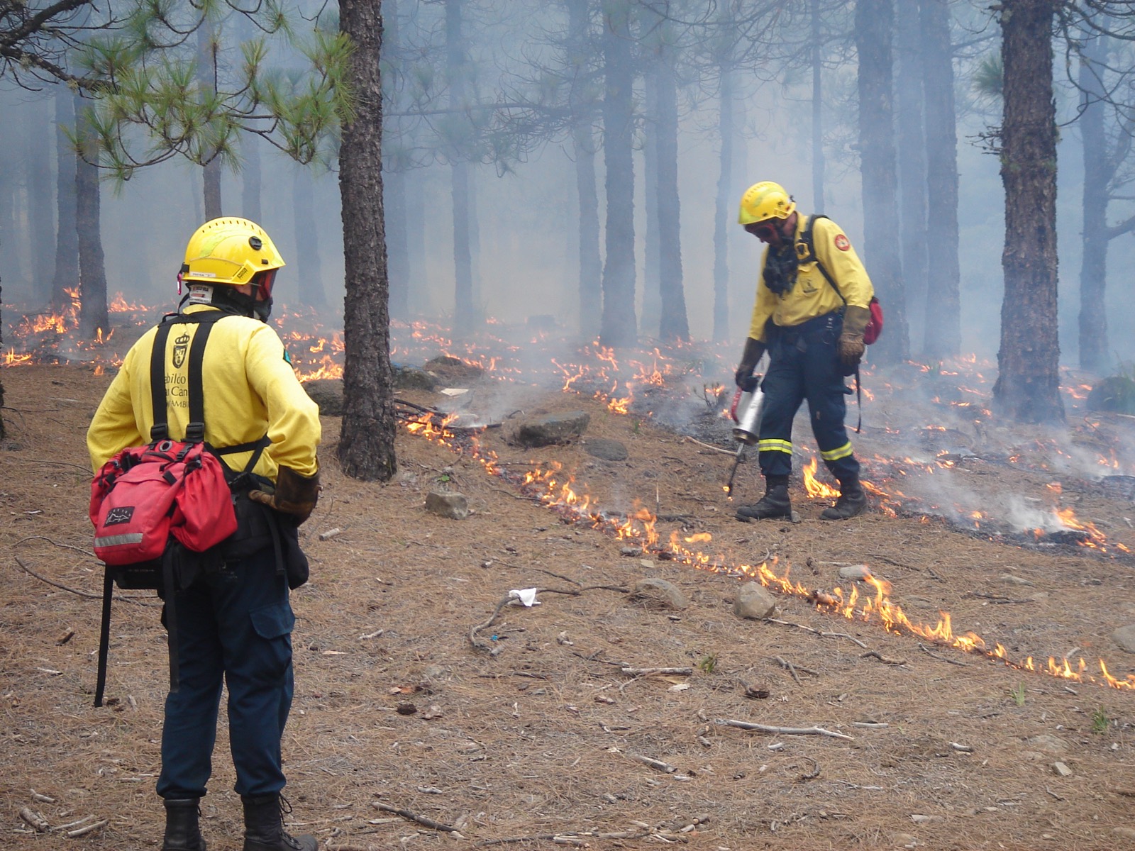 Bomberos forestales realizando una quema controlada de prevención